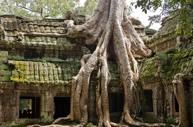 concrete, brown, belief, ruined, bricks, day, tree trunk, no people, indochina, ta prohm, growth, place of worship, siem, photo, root, cambodia, built structure