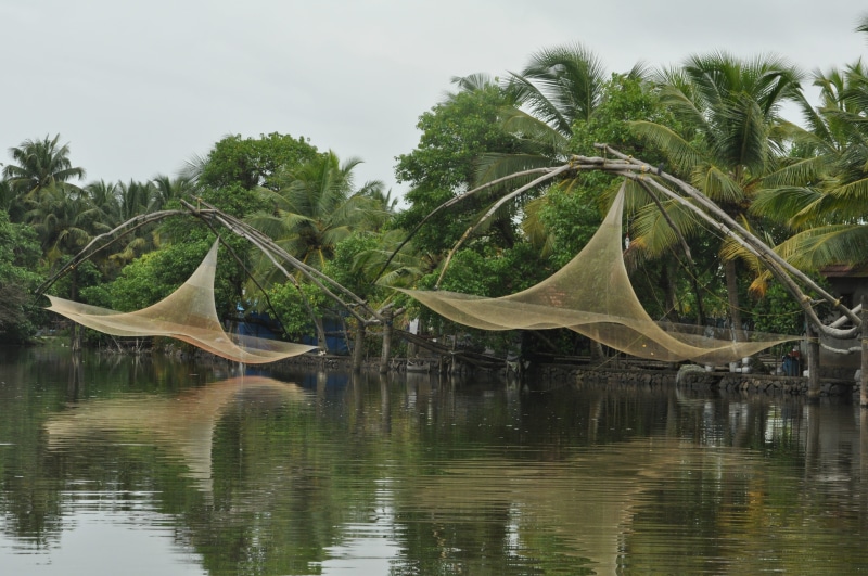 non-urban scene, 4K, india, beauty in nature, nature, net, no people, growth, reflection, outdoors, tree, kerala, day, tranquility, lake, green color