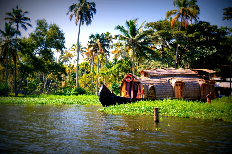tropical climate, palm tree, coconut palm tree, cultures, real people, nature, leisure activity, boats, green color, 5K, outdoors, water, houseboats, nautical Vessel