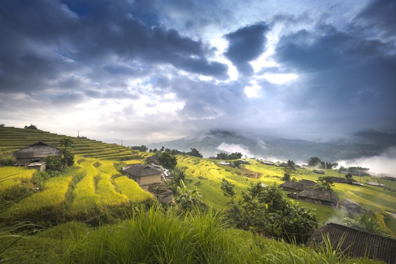 rice field, cloud - sky, vietnam, plant, idyllic, hoang su phi, dawn, natural, grass, sky, land, village, landscape, rural scene, nature, rice, nation