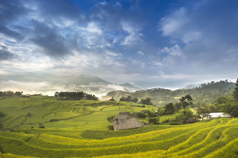 land, growth, ha giang, scenics - nature, rice field, mountain, field, agriculture, class, local, landscape, green color, dawn, natural, cloud - sky, rice - cereal plant