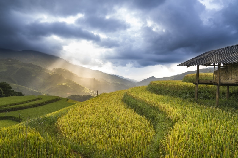 class, rural scene, beauty in nature, village, plantation, full color, crop, terrace, the cultivation, wooden, hoang su phi, harvest, minority, land, dawn