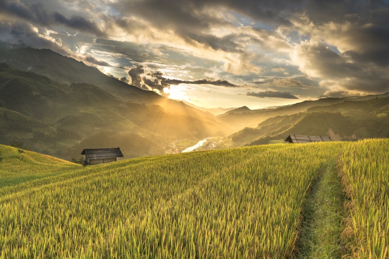 rice field, travel, sun, clouds, landscape, rural scene, mountain, local, outdoors, class, kathy, terrace, cloud - sky, minority, nation, plant, sky, vietnam