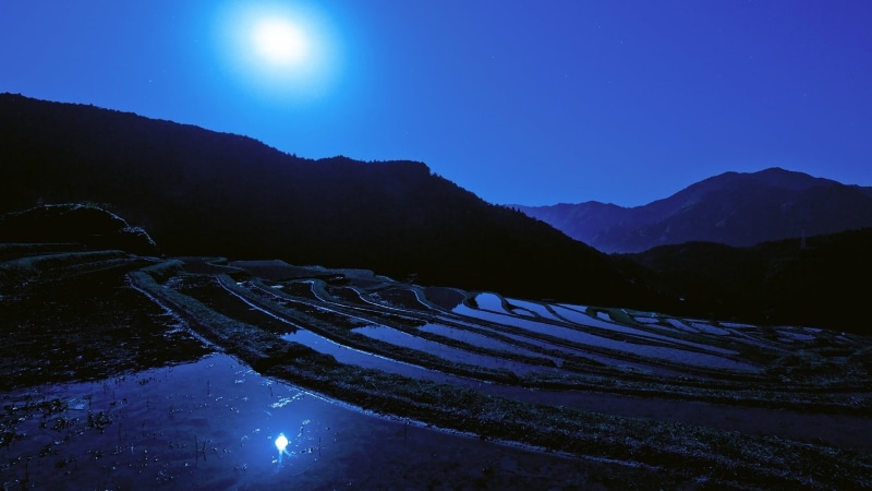 scenics - nature, water, field, blue, no people, mountains, agriculture, mountain, beauty in nature, Sun, landscape, nature, astronomy, sky, plantation