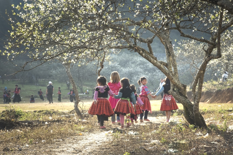 the, vietnam, the tradition, most, full length, happy, the hill, nation, girl, nice, land, hmong, day, travel, full color, asian, spring, write, minority
