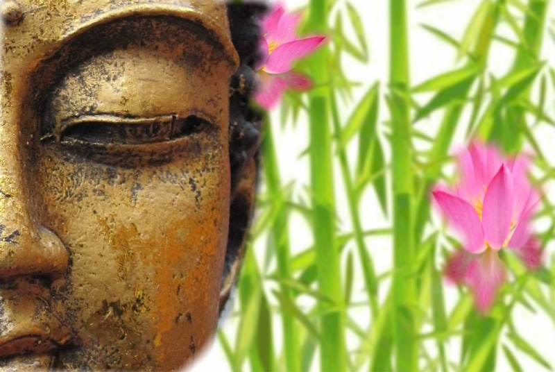 1080P, spiritual, human representation, meditation, rest, wisdom, fernöstlich, buddhism, human Face, wellness, focus on foreground, belief, flower, buddha