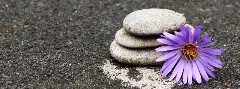 2K, stack, flower head, art, photo, meditate, meditation, inflorescence, rest, decoration, serenity, focus on foreground, garden, yoga, stones, plant
