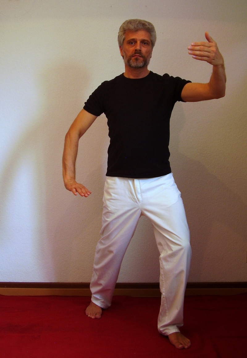 spirituality, mature adult, full length, looking at camera, mature men, inner calm, qi gong, one person, serenity, wall - building feature, men, smiling