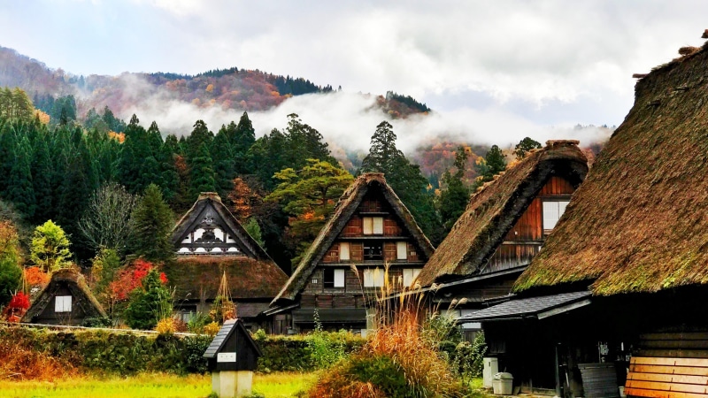 japan, outdoors, day, plant, asia, land, shirakawa, scenics - nature, no people, 4K, building, house, architecture, landscape, built structure, tree, growth
