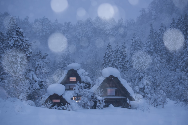 plant, 5K, day, forest, architecture, building, covering, white color, extreme weather, cold temperature, winter, Japan, house, built structure, outdoors