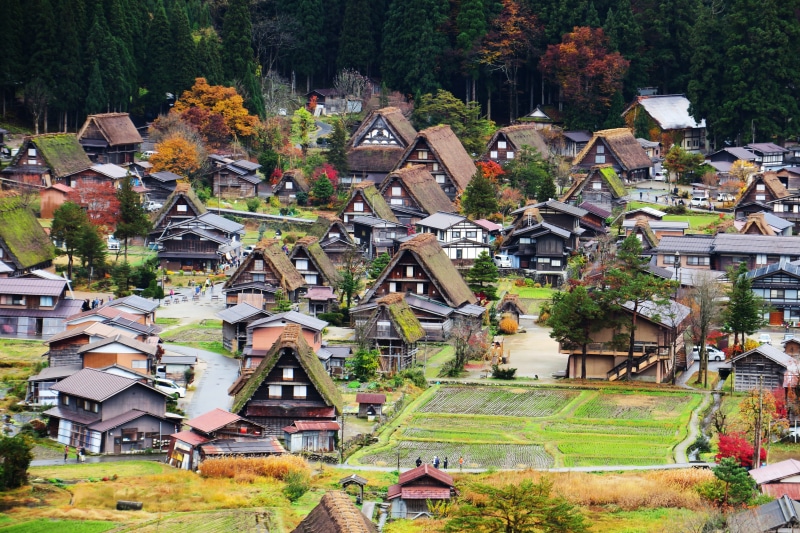 shirakawa xiang, roof, tree, high angle view, building exterior, landscape, nature, residential district, autumn, park, change, 5K, architecture, city