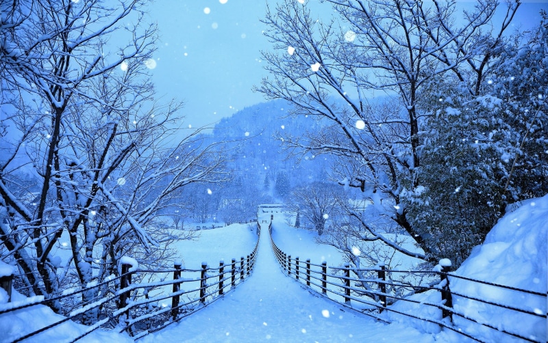 bridge, Shirakawa-go, blue, snowflakes, trees, Japan, snow, winter, forest, Gokayama, mountains, 1080P