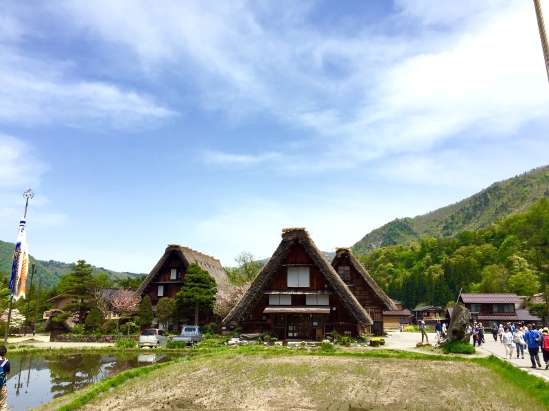 building exterior, day, old houses, tree, building, shirakawa go, 2K, no people, grass, sky, plant, built structure, cloud - sky, world heritage site