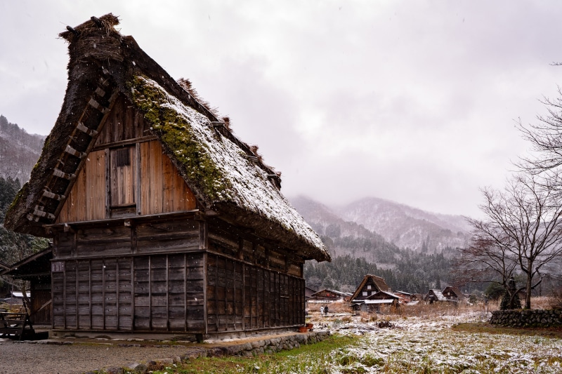housing, plant, japan, no people, shirakawa go, scenics - nature, building exterior, mountain, built structure, countryside, animal, cloud - sky, beauty in nature