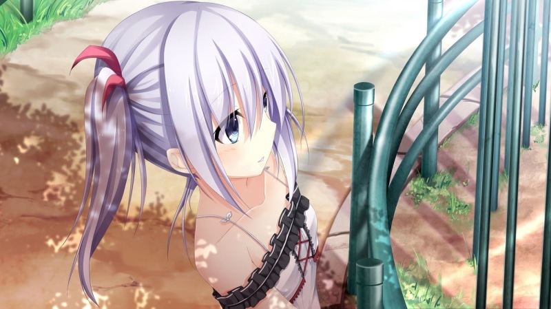 animal, land vehicle, representation, day, transportation, Otonari Koi Sensou, Anime Girls, close-up, creativity, art and craft, tree, focus on foreground