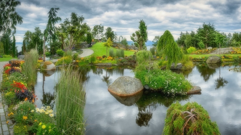 flowers, scenics - nature, tranquility, beauty in nature, rocks, day, reflection, green color, garden, trees, architecture, cloud - sky, 2K, sky, non-urban scene