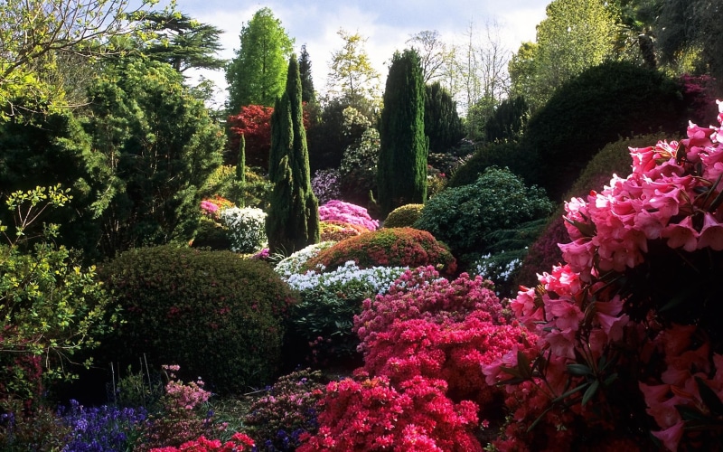 nature and landscapes, 1080P, rock, flowers, garden, japanese