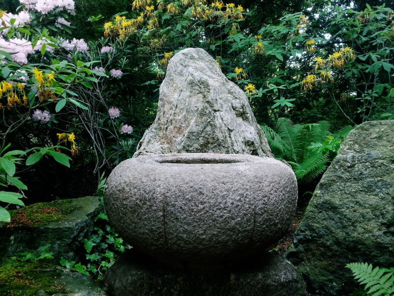 plant, trees, day, rock, art and craft, flowers, nature, solid, sculpture, outdoors, representation, stone - object, no people, formal garden, rock - object