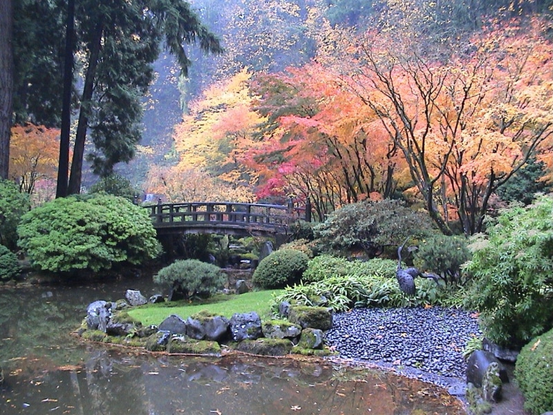 bushes, colors, hd, japanese, garden, water, nature, gardens, trees, 720P, autumn colors, rocks, autumn, maples