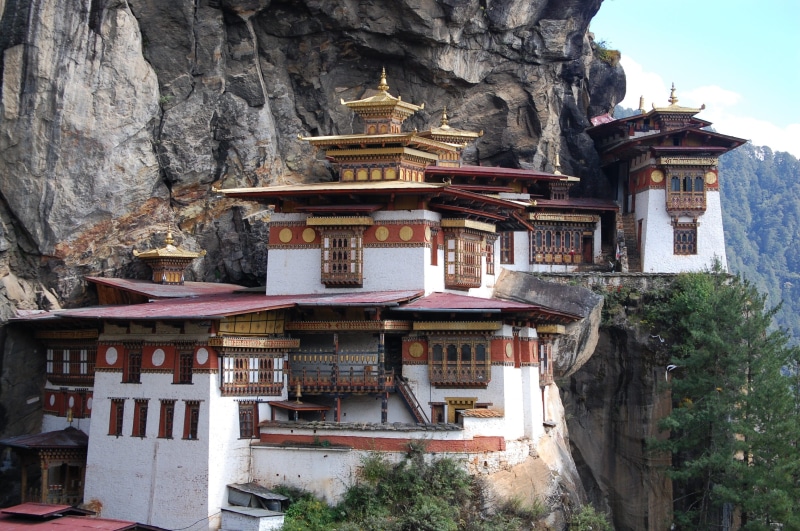 tree, shrine, art and craft, yeshe tsoygal, buddhism, 2K, history, no people, outdoors, nature, building, day, tigers nest, the past, building exterior