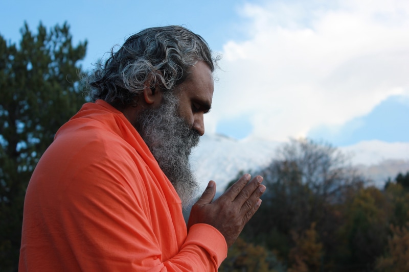 contemplation, guru, monk, males, hindu, worship, mature adult, facial hair, namaste, meditation, master, profile view, enlightened, one woman only, indian