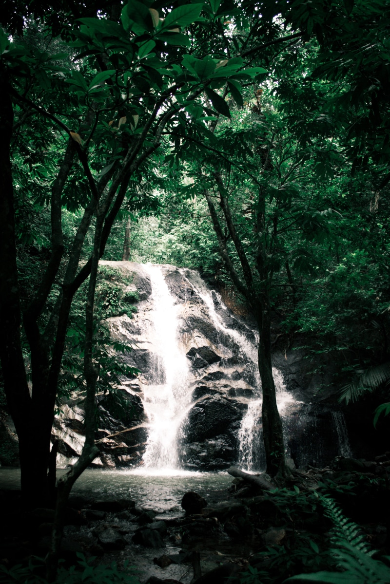 rock, flowing water, flowing, outdoors, no people, power in nature, day, templer hills, beauty in nature, moody, vibe, travel, long exposure, malaysia