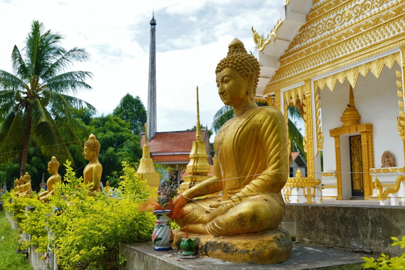 wat, meditation, statue, religion, golden, building, place of worship, tourism, temple, buddha, art, outdoors, 5K, plant, representation, belief, art and craft