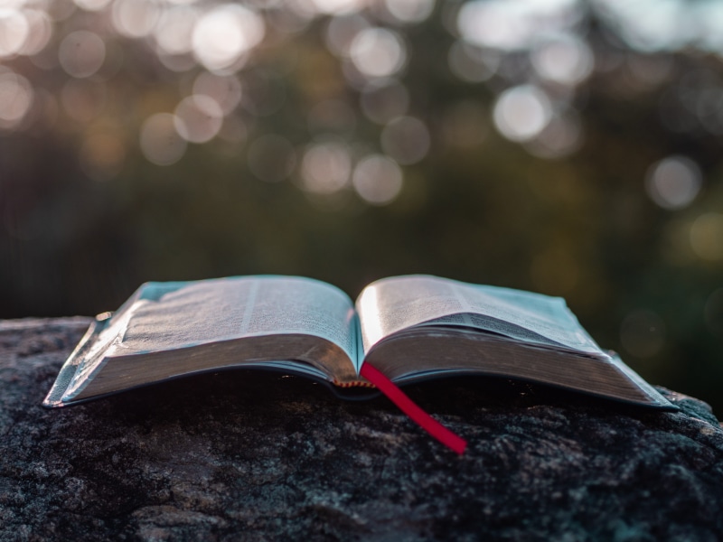 sky, spirituality, woodland, novel, page, single Object, reading, daytime, diary, writing, studying, stone, learning, scripture, backgrounds, devotional