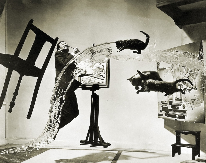 water, hd, paintings, nature, cats, salvador dalÃ­, dal, chairs, art, 720P, jumping, salvador
