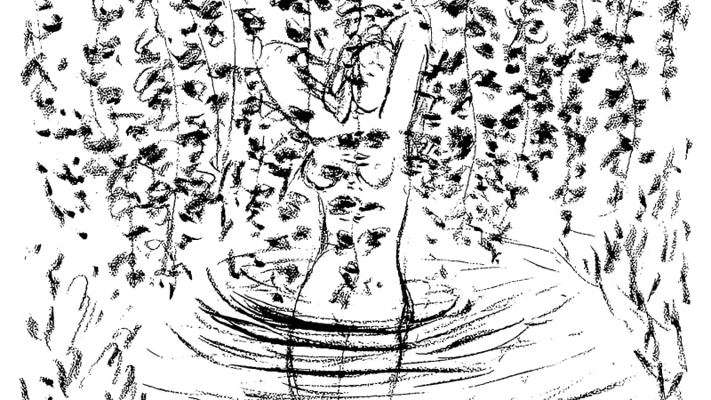 1080P, classic art, butchered art, Henri Matisse