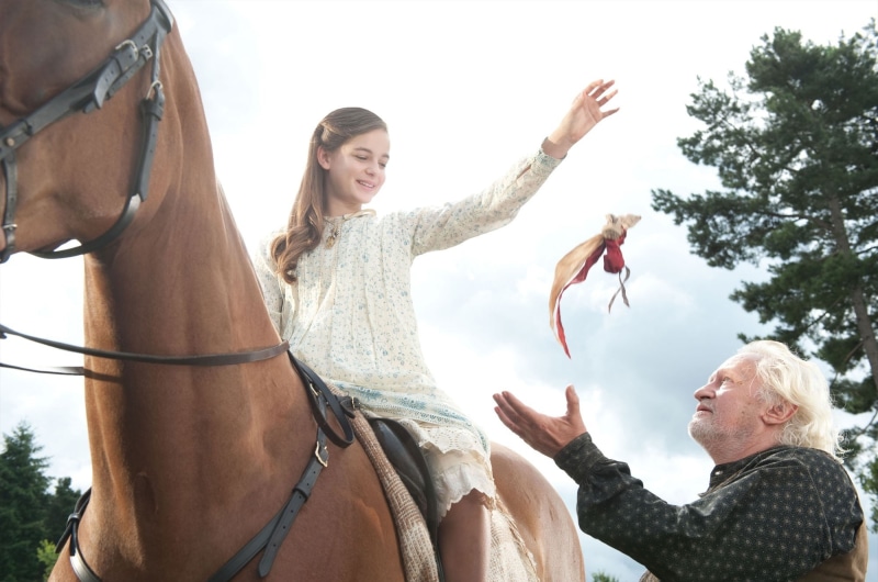 actress, horse, horses, spielberg, hd, movies, x, celine, steven, art, war, 1080P, animals, girls, buckens