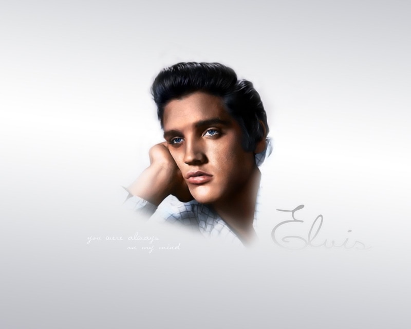 gray, 720P, beautiful woman, adult, communication, young adult, contemplation, Elvis Presley, headshot, front view, indoors, copy space, white background
