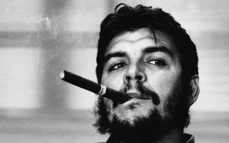  bad habit, indoors, face, che, young adult, 4K, lifestyles, social issues, risk, headshot, close-up, human face, activity, portrait, smoke - physical structure