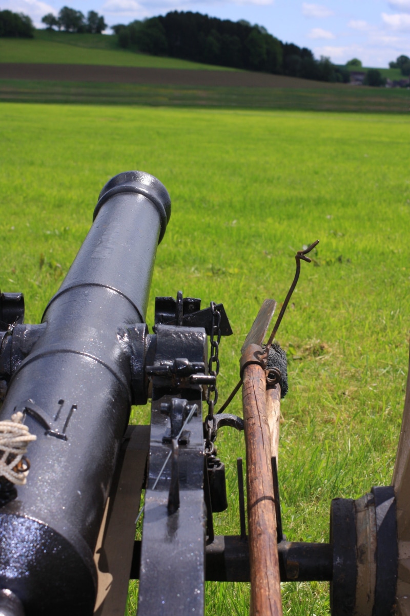 tree, sunlight, field, battle of ostrach, war, napoleon bonaparte, history, grass, technology, environment, weapon, the past, outdoors, no people, military