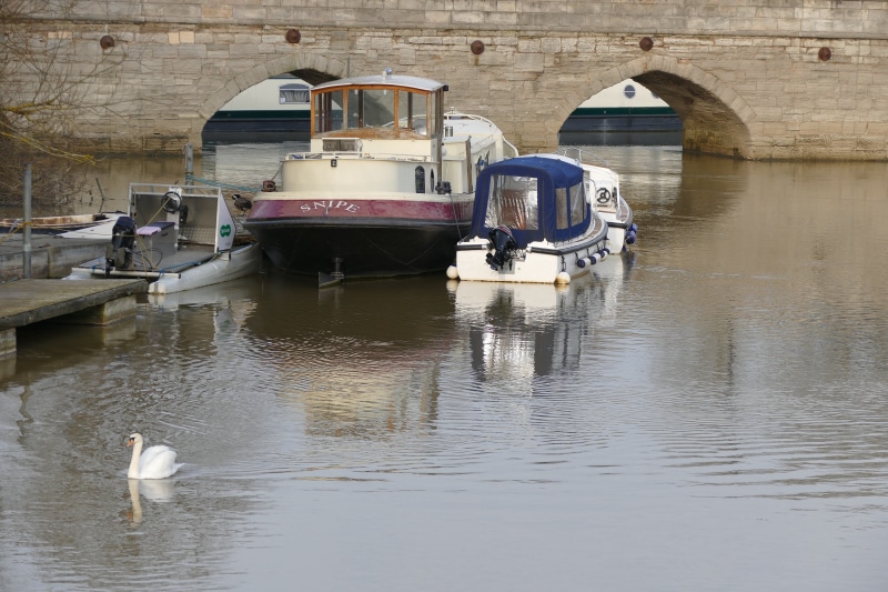 day, vertebrate, nautical vessel, william, europe, arch bridge, stratford-upon-avon, animal wildlife, country, warwickshire, city, river avon, english