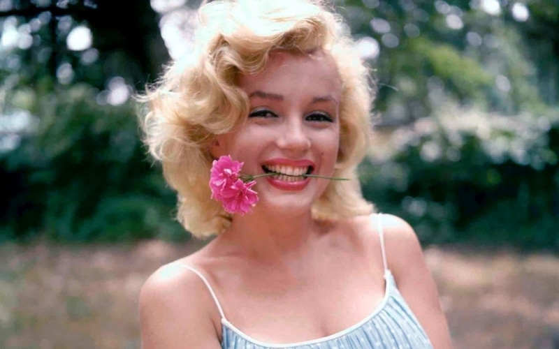 one person, cheerful, headshot, happiness, Actress, child, hair, plant, Actresses, portrait, Flower, front view, smiling, emotion, women, looking at camera