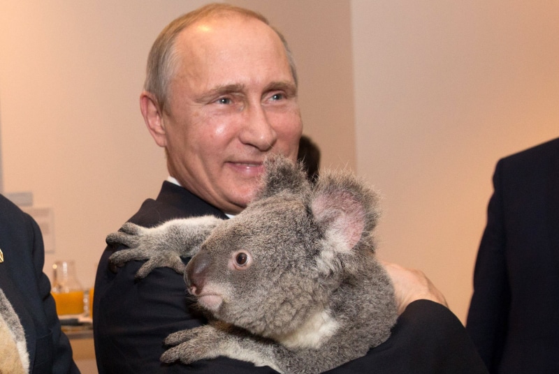 president, russian, men, vladimir, russia, 1080P, putin, man