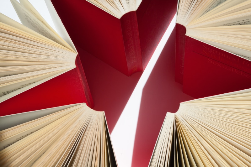 paperwork, science, expanded, shape, pattern, red, shadow, sigmund freud, books, textbook, library, pages, wisdom, creativity, book pages, university, illustration