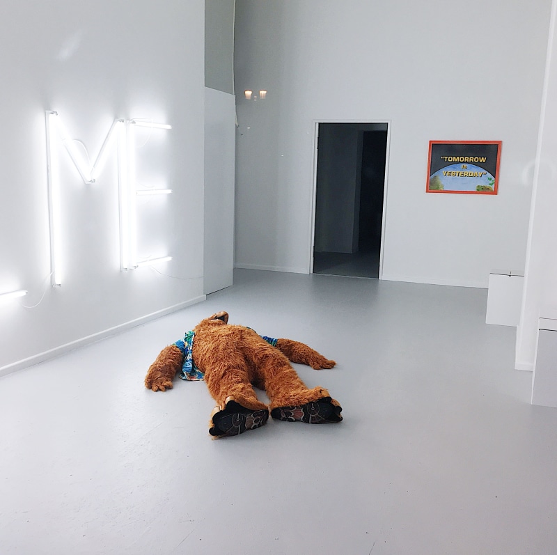 death, door, art, karl-marx-allee 123, animal themes, animal, alf, pets, fluffy, stuffed toy, toy, contemporary art, white color, representation, mammal
