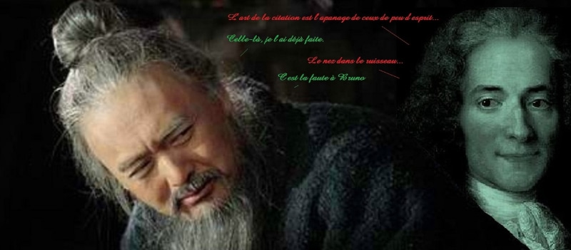 proverbe, citation, sagesse, voltaire, 2K, adage, confucius