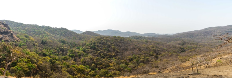 landscape, 8K, day, environment, sky, scenics - nature, forest, tree, mountain, outdoors, climate, lake, sanjay gandhi national park, no people, tourism