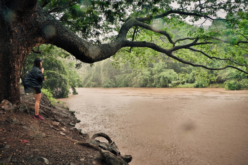sanjay gandhi national park, beauty in nature, national park, tree trunk, real people, rain, ssssssssss, qqqqqqq, 5K, one person, day, lake, scenics - nature