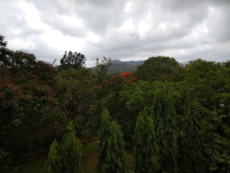 nature, tranquility, mumbai, sky, green color, no people, environment, growth, green, cloud - sky, 4K, beauty in nature, sanjay gandhi national park, land