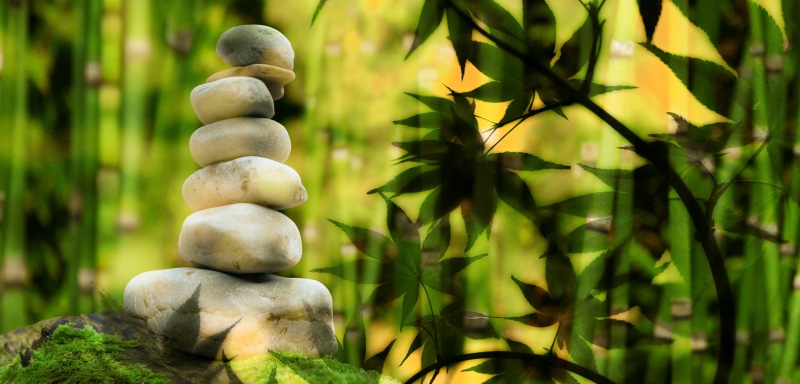 tree, rock, no people, day, land, stack, 4K, spiritual, harmony, relax, freshness, plant part, close-up, balance, solid, wellness, relaxation, stone - object