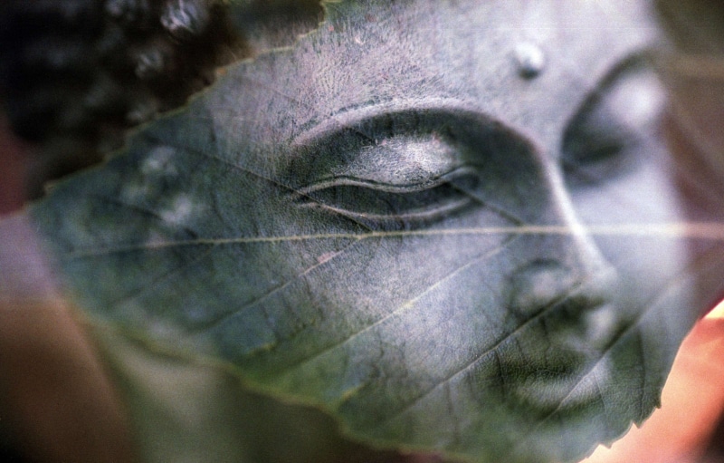 outdoors, close-up, buddha, faith, statue, day, leaf, plant part, portrait, representation, oriental, all is one, tree, sacred, spirituality, religious