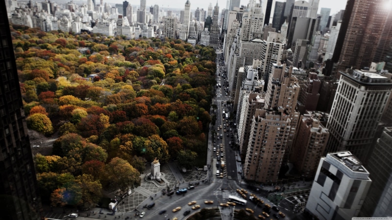 4K, architecture city cityscape trees building new york city usa street park car central park taxi skyscraper fall blurred birds eye view window roundabouts