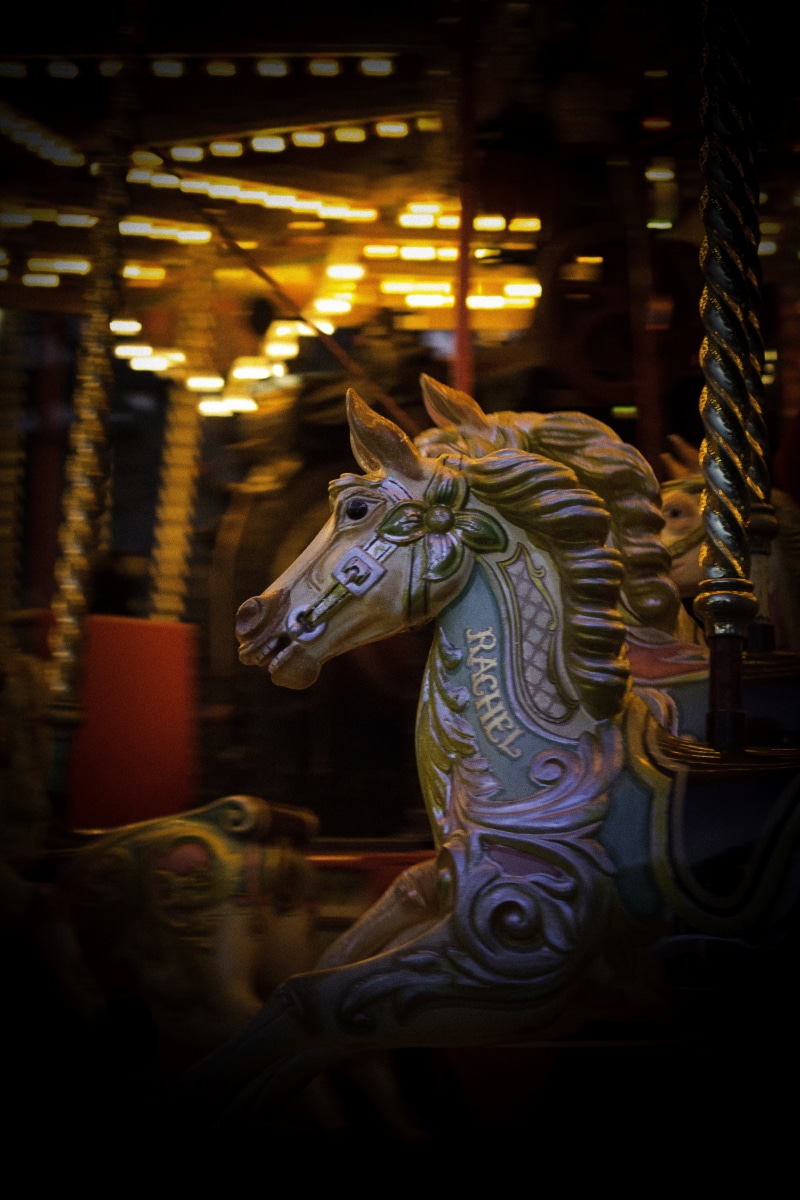 no people, amusement, horse, animal wildlife, animal, illuminated, amusement park ride, 5K, built structure, arts culture and entertainment, night, animal representation