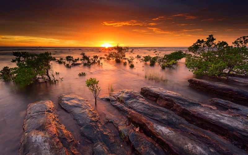 markets, landscape, darwin, district, australia, mindil, hd, beach, sunset, central, 4K