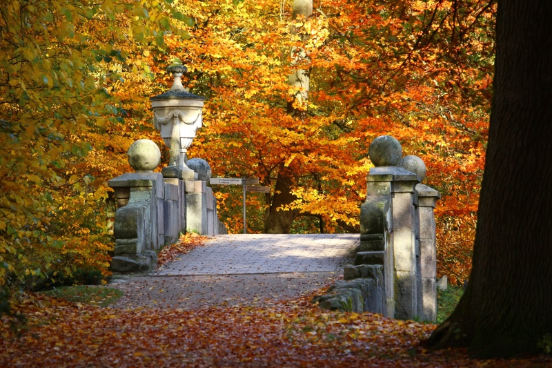 gray, october, architecture, day, change, yellow, fall foliage, statue, tranquility, orange Color, sculpture, places of interest, vase, tree, no people