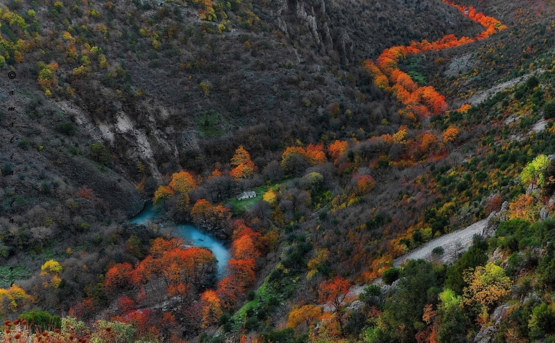 flowing, orange Color, october, land, travel, multi Colored, orange, lush Foliage, maple Tree, forest, mountain, blue, day, scenics - nature, idyllic, growth